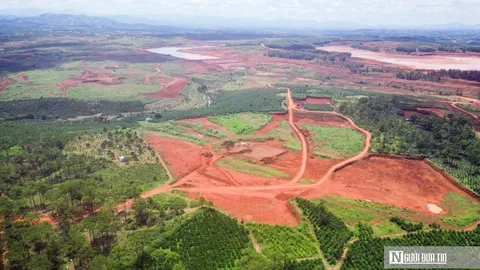 Lâm Đồng: Chấm dứt hoạt động dự án, thu hồi hơn 145ha đất rừng