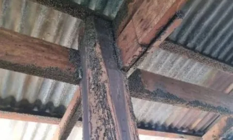 Bước vào nhà cụ bà 95 tuổi, phát hiện cảnh tượng đáng sợ