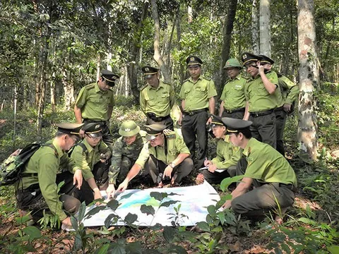 Thành lập Trung tâm Bảo vệ rừng và Di sản thế giới Phong Nha - Kẻ Bàng