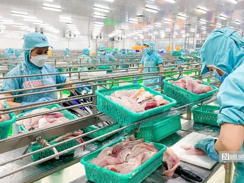 Ứng phó thuế đối ứng từ Mỹ, ngành thuỷ sản đề xuất 2 gói hỗ trợ doanh nghiệp