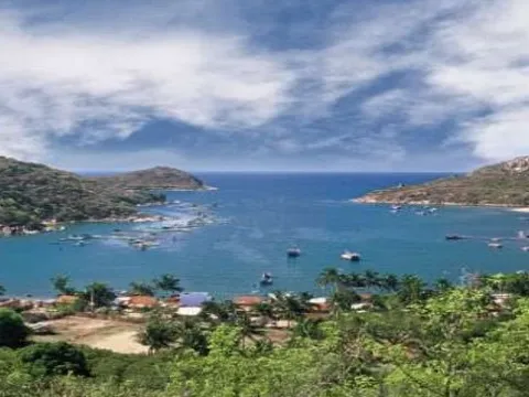Ninh Thuận thông tin việc chuyển 11,58ha rừng đặc dụng để làm du lịch