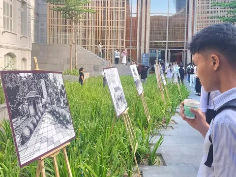 Đà Nẵng khai mạc triển lãm “Vọng” chào mừng 50 năm Giải phóng miền Nam, thống nhất đất nước