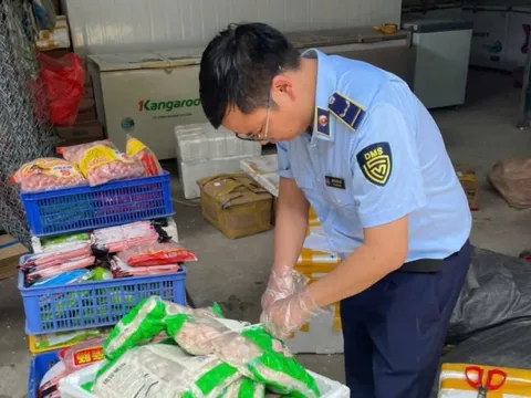 Hà Nội: Tạm giữ hơn 800kg thực phẩm không rõ nguồn gốc