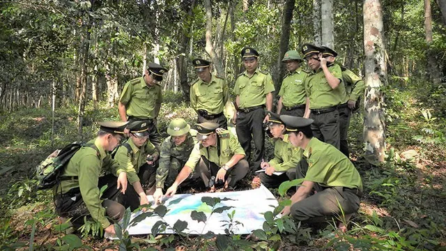 Thành lập Trung tâm Bảo vệ rừng và Di sản thế giới Phong Nha - Kẻ Bàng